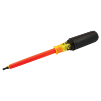 Square Screwdriver Planification Entrepots Molloy