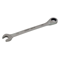 Combination Fixed Head Ratcheting Wrench, 12 Point, 5/16", Stainless Steel Finish Planification Entrepots Molloy