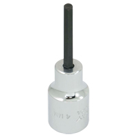 Embout de rechange, 5 mm x 1-1/5" lo, Prise 3/8" Planification Entrepots Molloy