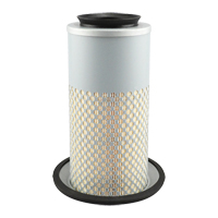 PA3833 &eacute;l&eacute;ment de filtre &agrave; air Planification Entrepots Molloy