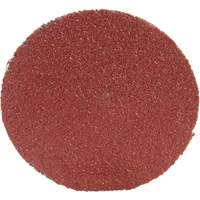 Roloc Disc 361F, 1-1/2" Dia., P100 Grit, Aluminum Oxide Planification Entrepots Molloy