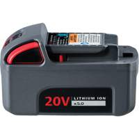 IQV20 High Capacity Battery, Lithium-Ion, 20 V, 5 Ah Planification Entrepots Molloy
