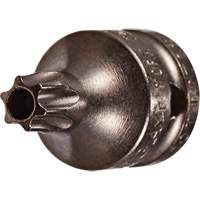 Socket Bit, Torx&reg; Tamper, 8 x 3/4" L, 1/4" Drive Planification Entrepots Molloy