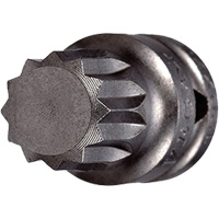 Socket Bit, Triple Square, 5 x 3/4" L, 1/4" Drive Planification Entrepots Molloy