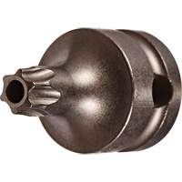 Socket Bit, Torx&reg; Tamper, 25 x 1" L, 3/8" Drive Planification Entrepots Molloy