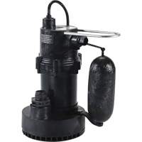 Pompe de puisard de série 5.5, 35 gal./min, 115 V, 3,5 A, 1/4 CV UAK135 | Planification Entrepots Molloy