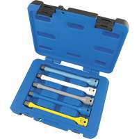 JTLE-5S Jeu de rallonges limiteurs de couple pour cl&eacute; &agrave; chocs, Prise 1/2", Couple de 65 lb-pi/80 lb-pi/100 lb-pi/120 lb-pi/140 lb-pi, Multiple Planification Entrepots Molloy