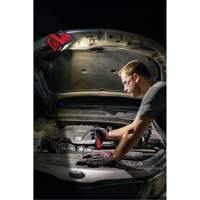 M12 Rover Mounting Flood Light, LED, 250 W, 1000 Lumens Planification Entrepots Molloy