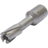 Core Cut Annular Cutter with Weldon Shank, 12 mm Diameter, Carbide, 30 mm Depth of Cut, 3/4" Shank Planification Entrepots Molloy