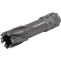 Universal Shank Annular Cutter, 1/2" Diameter, Carbide, 1" Depth of Cut, 3/4" Shank Planification Entrepots Molloy