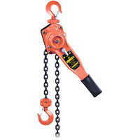 VLP Series Lever Chain Hoist, 10' Lift, 1653.46 lbs. (0.75 tons) Capacity Planification Entrepots Molloy