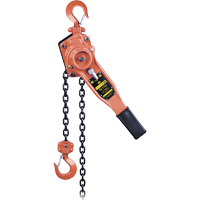 KLP-75-10 KLP Series Heavy-Duty Lever Chain Hoist, 10' Lift, 1500 lbs. (0.75 tons) Capacity Planification Entrepots Molloy