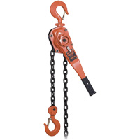 KLP-300L-5 KLP Series Heavy-Duty Lever Chain Hoist with Overload Protection, 5' Lift, 6000 lbs. (3 tons) Capacity Planification Entrepots Molloy