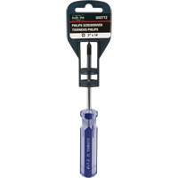 Blue Transparent Striped Philips Screwdriver, #1, Plastic Handle Planification Entrepots Molloy