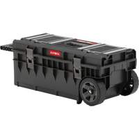 Arx Long Rolling Tool Chest, 31-1/5" x 15-1/5" x 12-7/10", Black Planification Entrepots Molloy