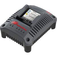 IQV20 Compact Battery Charger, 20 V, Lithium-Ion Planification Entrepots Molloy