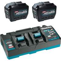 XGT Dual Port Rapid Charger Starter Kit with (2) 8 Ah Batteries, 40 V, Lithium-Ion Planification Entrepots Molloy