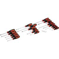 Dual Material Screwdriver Set, 20 Pcs. Planification Entrepots Molloy