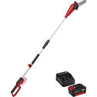 Cordless Pole Chain Saw with 4Ah Battery & Charger Starter Kit Planification Entrepots Molloy