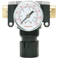 MODULAIR 200 Acetal Piston Regulator, 1/4" NPT, 150 PSI Max. PSI, In Line/Modular Planification Entrepots Molloy
