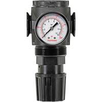 MODULAIR 300 Zinc Diaphragm Regulator, 3/8" NPT, 300 psi Max. PSI, In Line/Modular Planification Entrepots Molloy