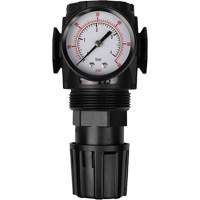 MODULAIR 300 Compressed Air Regulator, 1/2" NPT, 300 psi Max. PSI, In Line/Modular Planification Entrepots Molloy