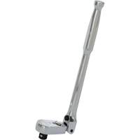 Rochet &agrave; t&ecirc;te flexible verrouillable JSHR-38F &agrave; 108 dents Planification Entrepots Molloy