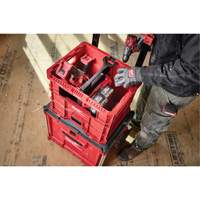 Caisse Packout, 15-3/4" x 18-5/8" x 15", Noir/Rouge Planification Entrepots Molloy