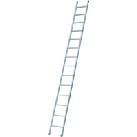 Industrial Heavy-Duty Extension/Straight Ladders, 8', Aluminum, 300 lbs., CSA Grade 1A Planification Entrepots Molloy