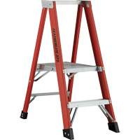 Industrial Extra Heavy-Duty Platform Stepladder (6500 AA Series), 4', 375 lbs. Cap. Planification Entrepots Molloy