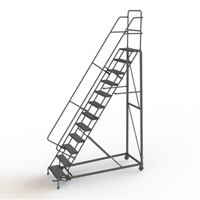 Heavy Duty Rolling Ladder, 12 Steps, 24" Step Width, 120" Platform Height, Steel Planification Entrepots Molloy
