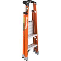 Safespace Platform Step Ladder, 2', 300 lbs. Cap. Planification Entrepots Molloy