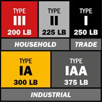 Escabeau avec plateau &agrave; peinture, 10', Aluminium, Capacit&eacute; 225 lb, Type 2 Planification Entrepots Molloy