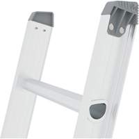 Jobsite Series Extension Ladder, 225 lbs. Cap., 32' H, Grade 2 Planification Entrepots Molloy