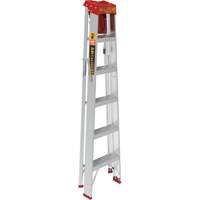 Step Ladder with Paint Tray, 6', Aluminum, 200 lbs. Capacity, Type 3 Planification Entrepots Molloy