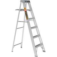 Step Ladder with Paint Tray, 6', Aluminum, 225 lbs. Capacity, Type 2 Planification Entrepots Molloy