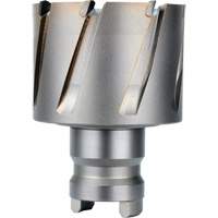 Fraise avec tenon &agrave; changement rapide Drive Hawg, Diam&egrave;tre de 2", Acier, Profondeur de la coupe de 1" Planification Entrepots Molloy