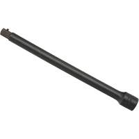 Rallonge pour douille, Chocs, Prise 1/2", 10" lo Planification Entrepots Molloy