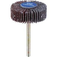 M&egrave;che de ponçage &agrave; roue &agrave; lamelles 3/8" - grain 80 Planification Entrepots Molloy