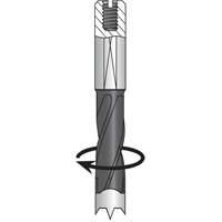 Foret &agrave; percer, Carbure Planification Entrepots Molloy