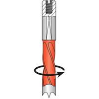 Foret &agrave; percer, Carbure Planification Entrepots Molloy