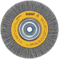 Crimped Bench Wire Brush, 6" Dia., 0.014" Fill, 5/8" - 1/2" Arbor WP402 | Planification Entrepots Molloy