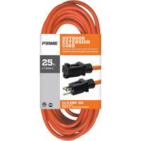 Vinyl Extension Cord, Outdoor, SJTW, 14/3 AWG, 15 A, 25' Planification Entrepots Molloy