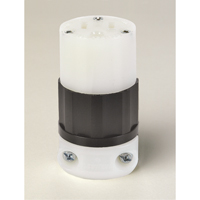 Grounding Straight Blade Connector, 5-15R, Nylon Planification Entrepots Molloy