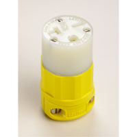 2-Pole 3-Wire Grounding Straight Blade Connector, 5-20P, Nylon Planification Entrepots Molloy