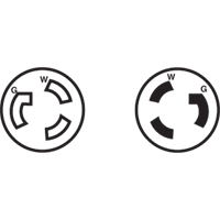 2-Pole 3-Wire Grounding Locking Plug, Nylon, 15 Amps, 250 V, L6-15P Planification Entrepots Molloy