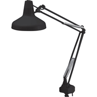 Heavy-duty Combination Task Light, 22/60 W, Fluorescent/Incandescent, 45" Neck, Black Planification Entrepots Molloy