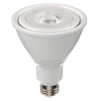 Ampoule DEL, PAR30, 10 W, 800 lumens, base Moyen Planification Entrepots Molloy