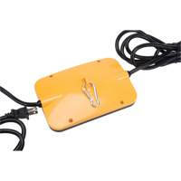 LED String Work Lights, 5 Lights, 50' L, Plastic Housing Planification Entrepots Molloy