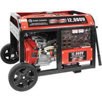 Electric Start Gas Generator with Wheel Kit, 12000 W Surge, 9000 W Rated, 120 V/240 V, 31 L Tank XI538 | Planification Entrepots Molloy